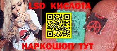 мяу мяу мука Камышлов