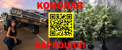 прущие крисы Кандалакша