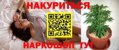 мяу мяу мука Камышлов