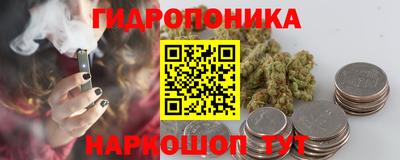 прущие крисы Кандалакша